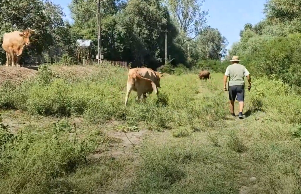 plauru este la 16km de tulcea